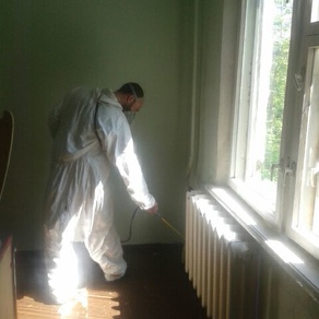 Уничтожить тараканов в квартире в Сургуте