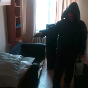 Уничтожение тараканов в квартире с гарантией в Сургуте