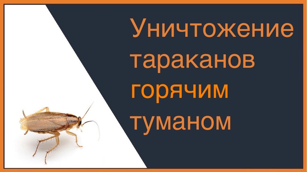 Уничтожение тараканов горячим туманом в Сургуте